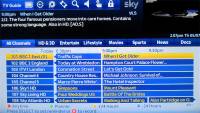 Sky's Programme Guide